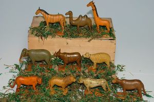 Arche Noah's